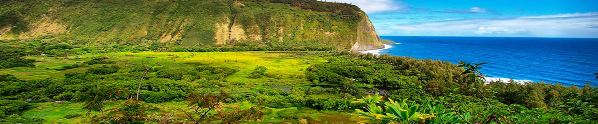 Kohala Coast