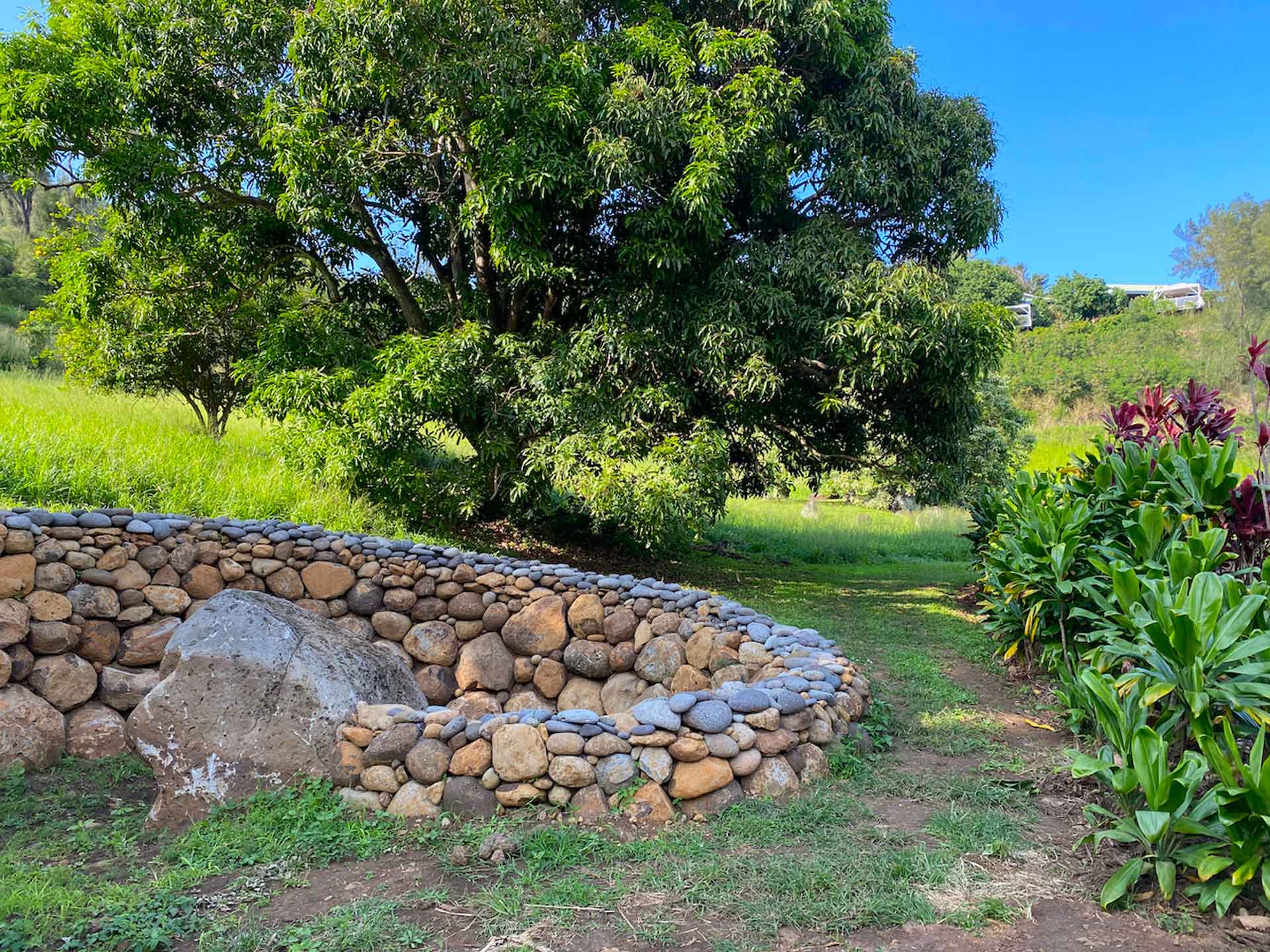 Stories of the Land